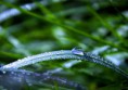 /album/macro/dsc-9226-jpg/